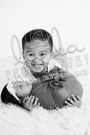 DSC07751 copy