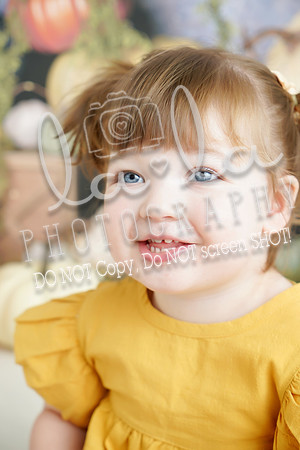 DSC03979