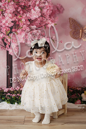 DSC02260