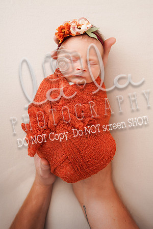 DSC07284