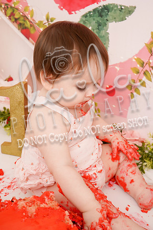 DSC00423
