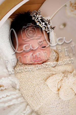 DSC02847 Edit