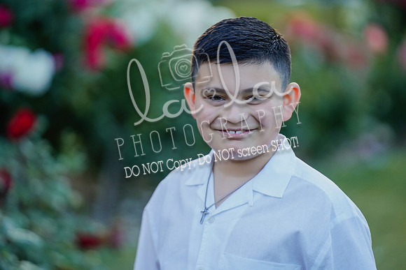 DSC00527