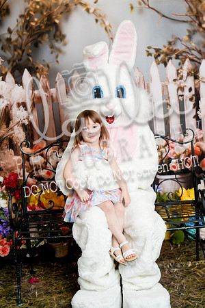 DSC08084