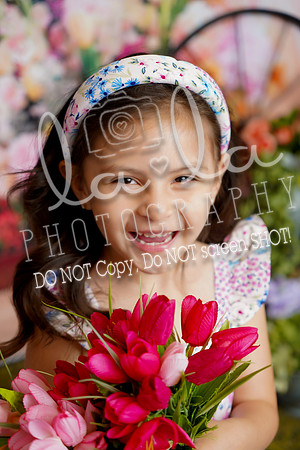 DSC04236