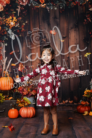 DSC02965