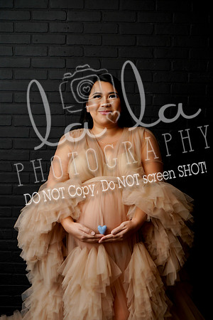 DSC07518