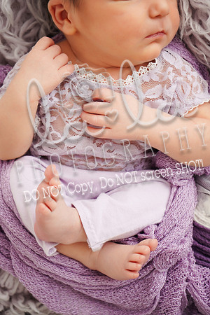 DSC08971