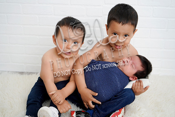 DSC03646