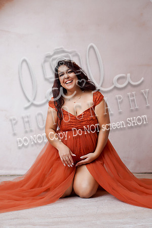 DSC01493