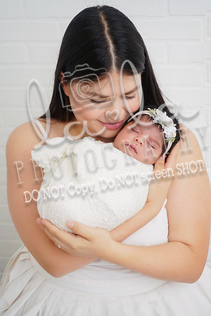 DSC03536
