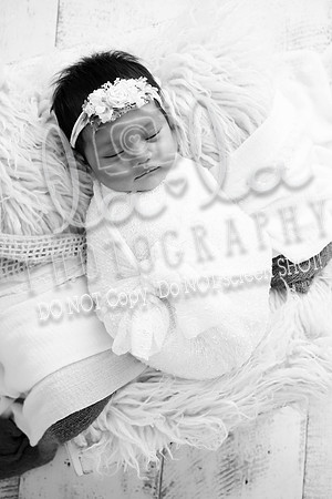 DSC07962 copy