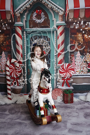 DSC00296