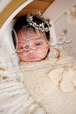 DSC02848 Edit