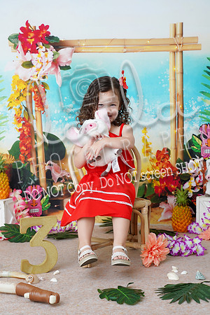 DSC08618