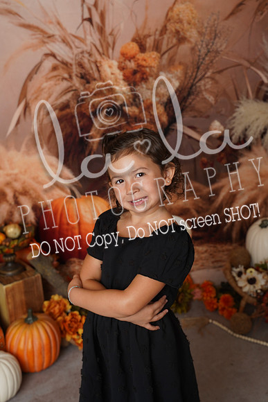 DSC09240
