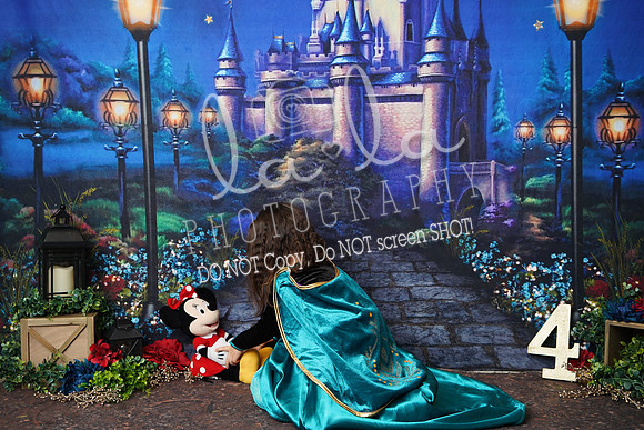 DSC03151