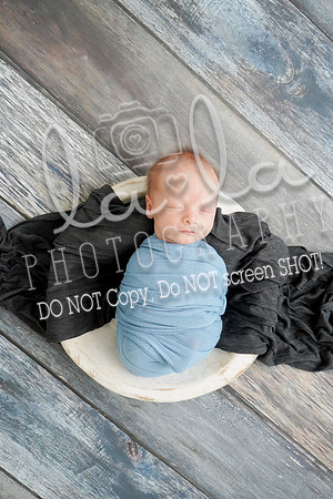 DSC07642