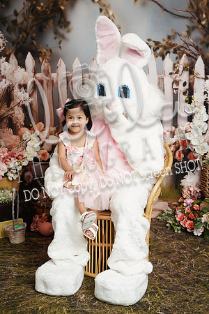 DSC08871