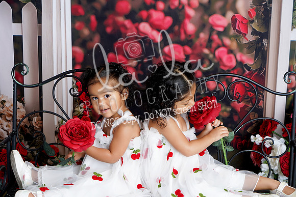 DSC08566