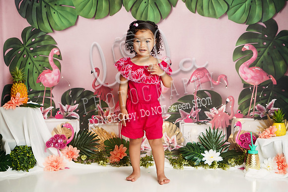DSC03980