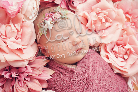 DSC05655