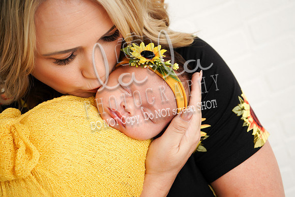 DSC01565