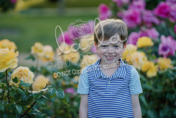 DSC00193