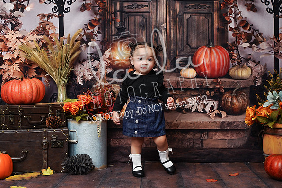 DSC08432