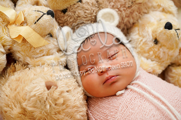 DSC00315