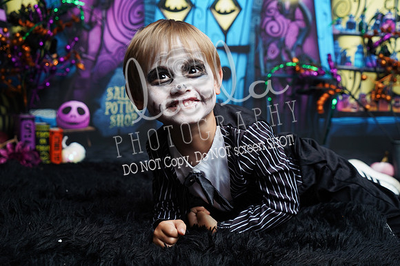DSC03497