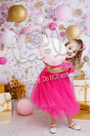 DSC07088