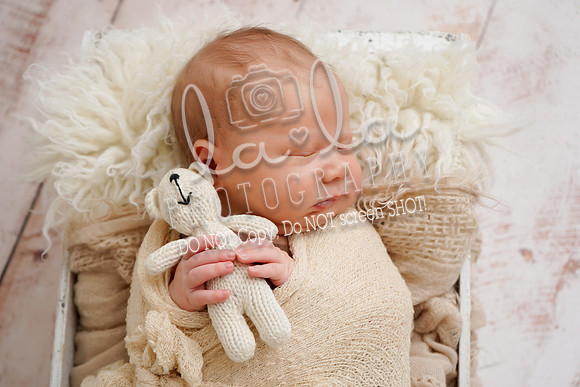 DSC08092edit