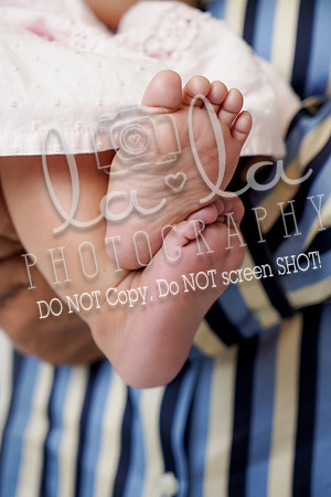 DSC07240