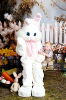 DSC07748