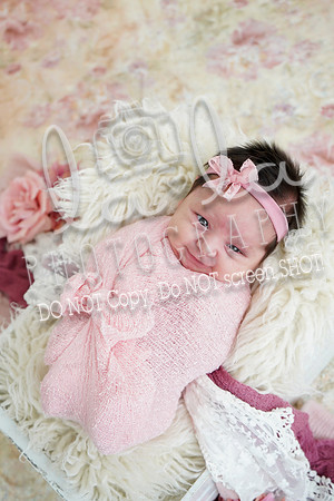 DSC03014