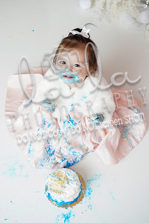 DSC08341