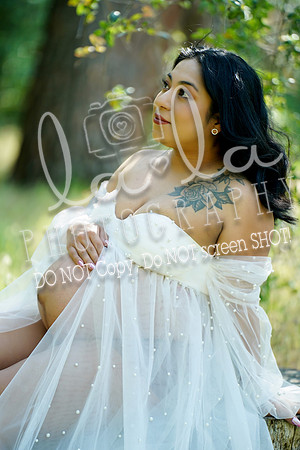 DSC03608
