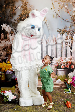 DSC08801