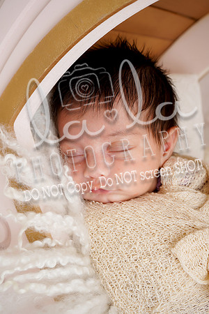 DSC02855 Edit
