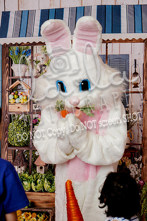 DSC06940