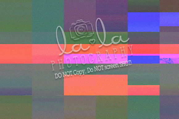 DSC01106
