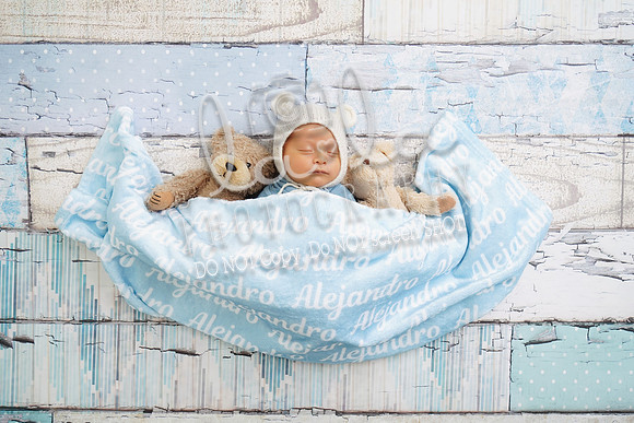 DSC04235