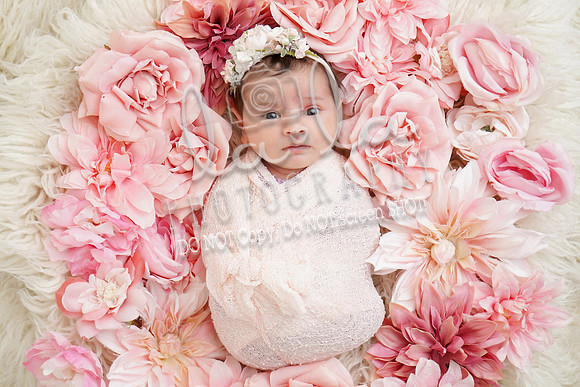 DSC06103