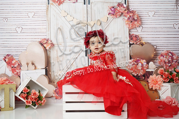DSC08202