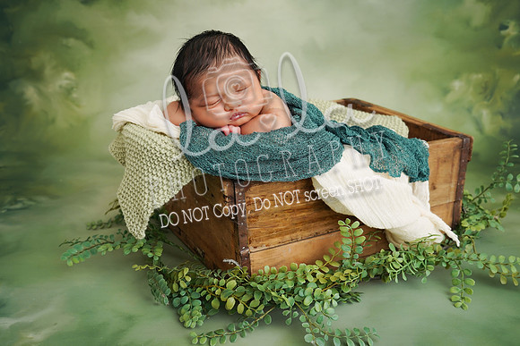 DSC09506