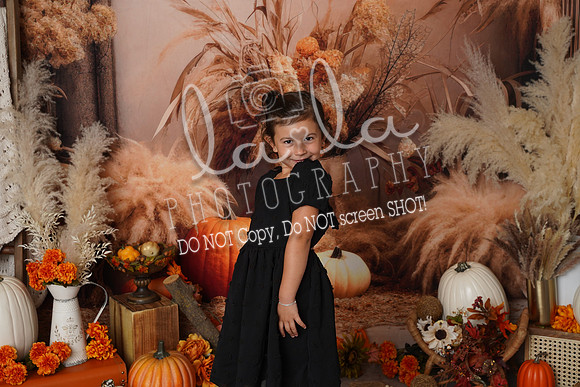 DSC09190