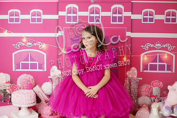 DSC03376