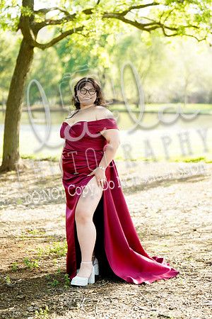 DSC00229