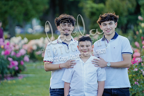 DSC00379